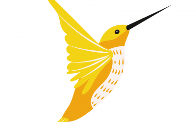 Take advantage of 10% Early Bird Discount