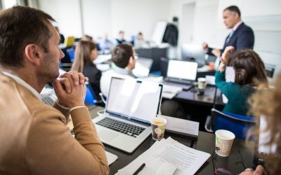 Sustainability and Business Strategy: The Executive MBA for Responsible Leaders