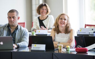 Sustainability and Business Strategy: The Executive MBA for Responsible Leaders