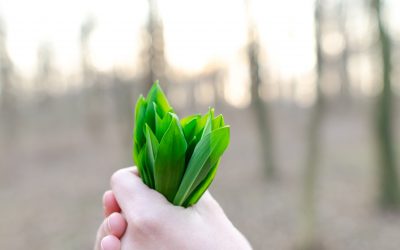 SUSTAINABILITY IS THE ANSWER